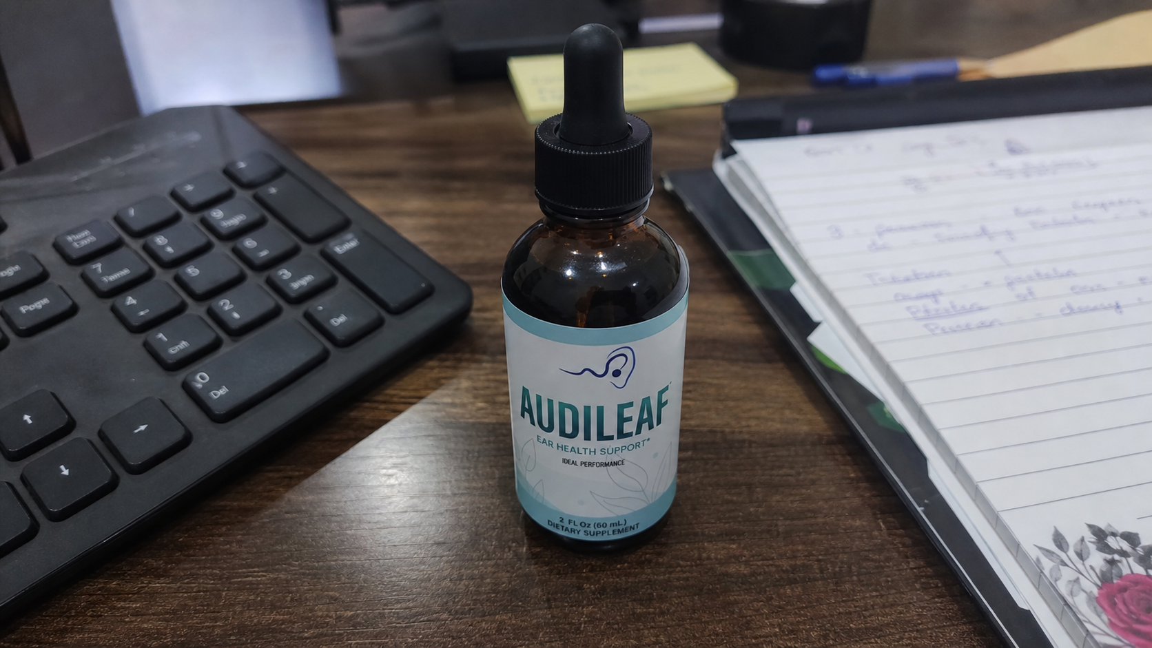 Audileaf 90-day personal review experience